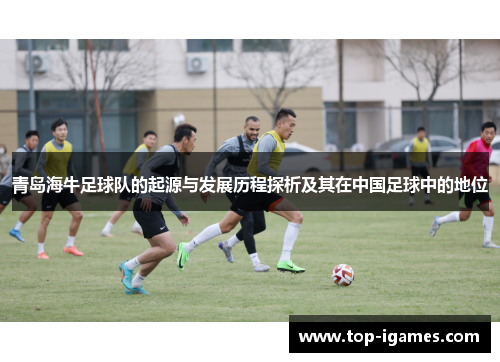 青岛海牛足球队的起源与发展历程探析及其在中国足球中的地位 青岛海牛足球队的起源与发展历程探析及其在中国足球中的地位